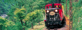 幽玄の世界嵐山鵜飼と風渡る爽秋のトロッコ列車